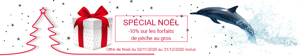 promotion noel 2020