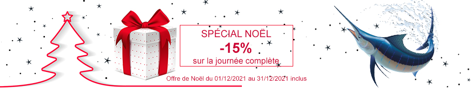 promotion noel 2021